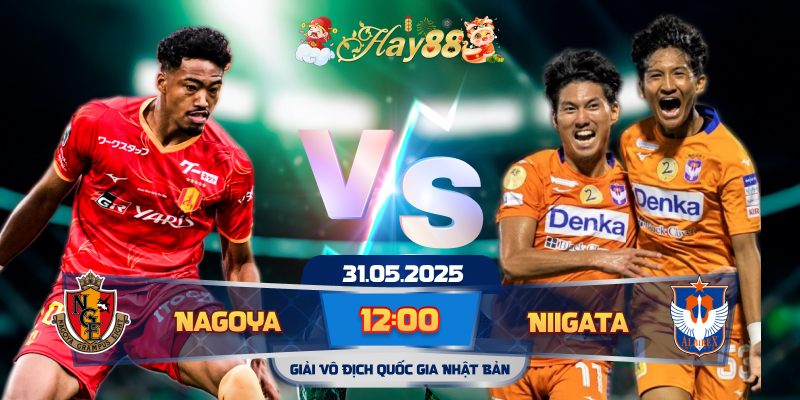 Dự đoán bóng đá Nagoya Grampus vs Albirex Niigata